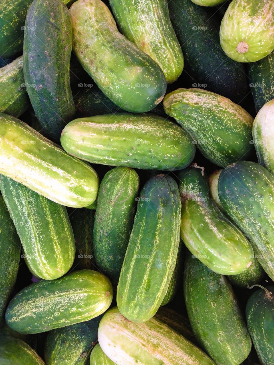 Full frame shot of cucumber