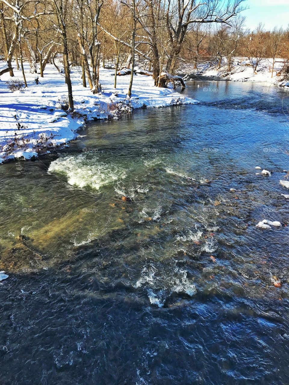 Ellicott creek