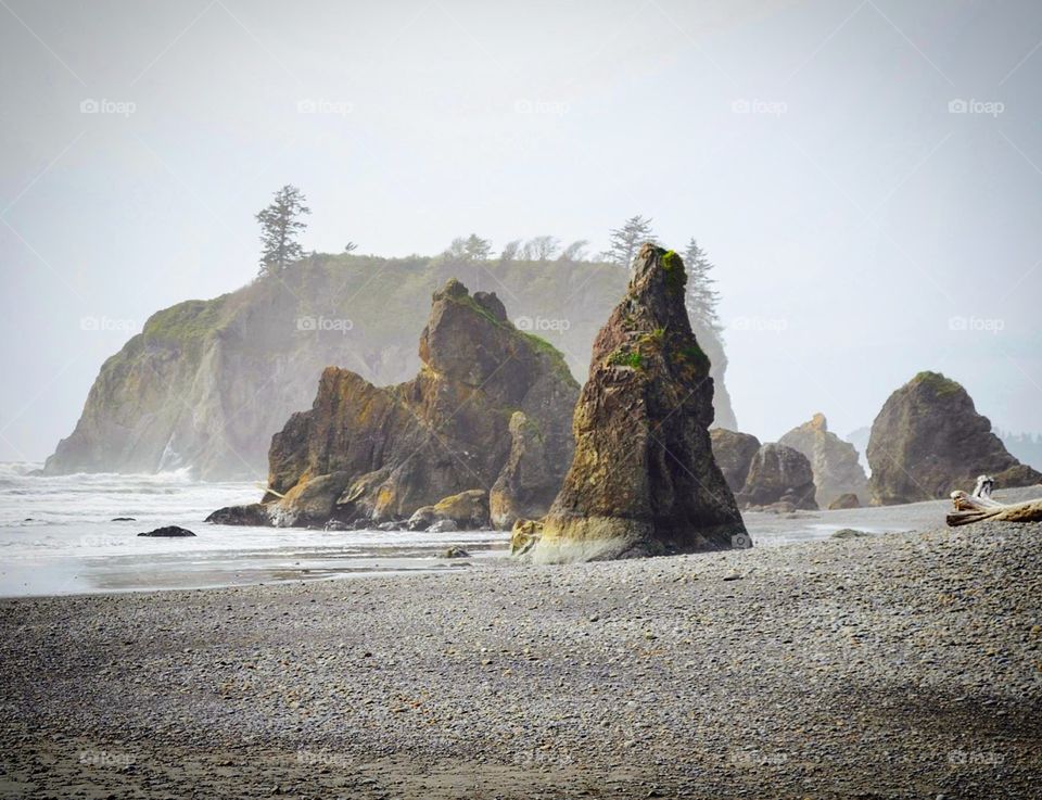 Ruby beach in Olympic national park. 