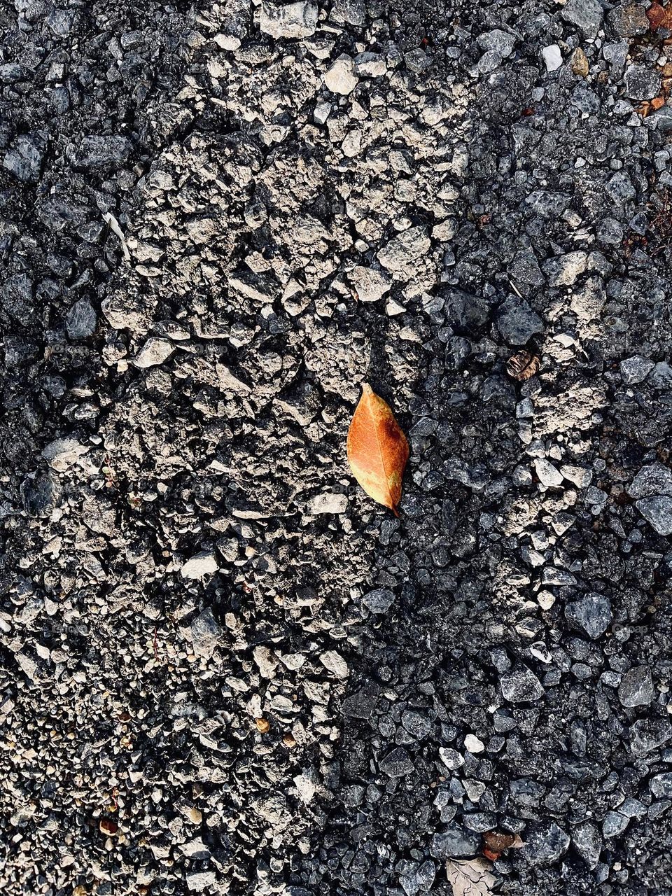 A tiny dried orange leaf on the ground and with some shadow