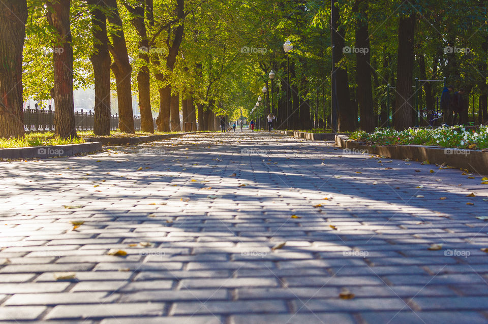 Footpath on the street of Moscow full of restangles