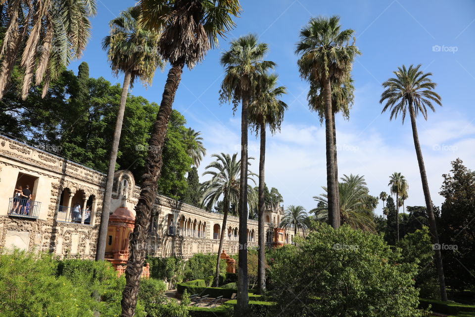 In the gardens of the Alcazar palace in Seville, Spain