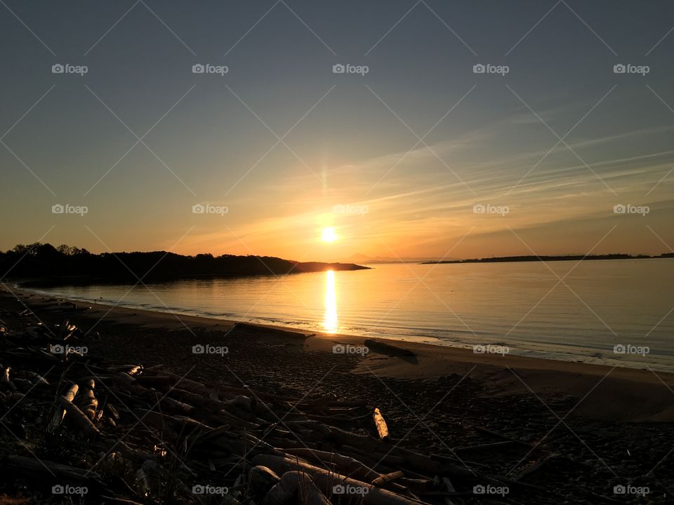 Silhouette of logs at beach during sunrise