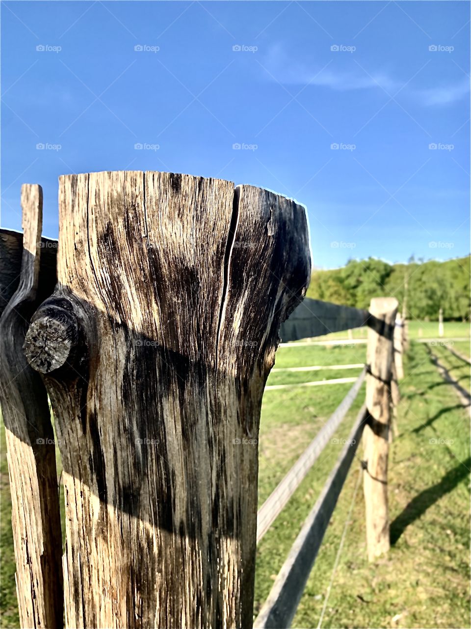 Fence 