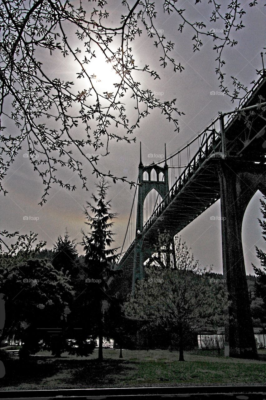 St. John's Cathedral