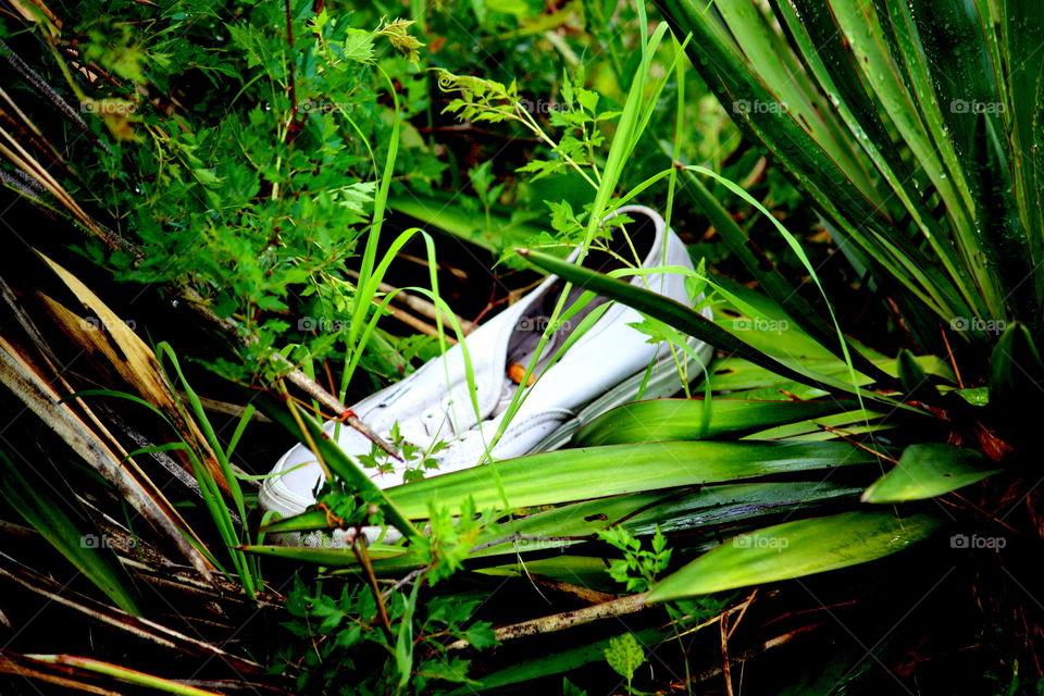 White sneaker lost in grass 