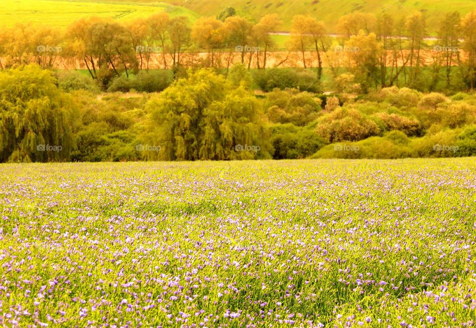 beautiful rural landscape