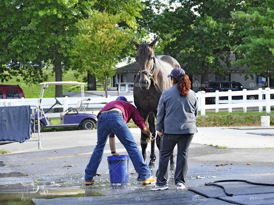 The Backstretch. The backstretch at beautiful Belmont Park. Horses are getting their morning bath after working out.
zazzle. com/fleetpho