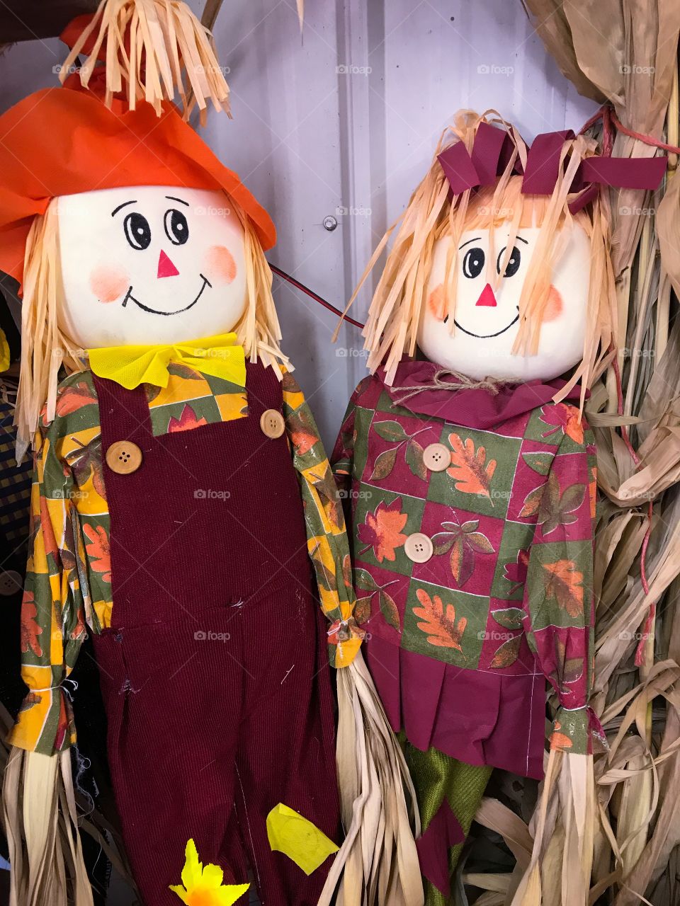 Mr and Mrs Scarecrow 