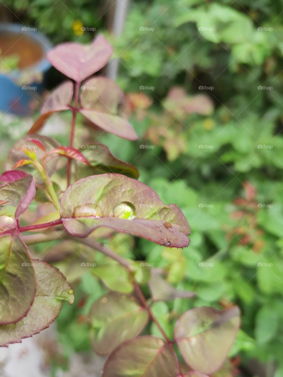 Glorious mother nature.