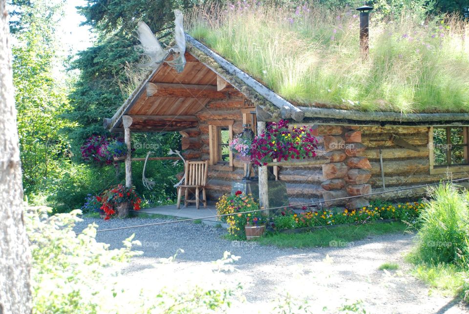 Rustic cabin