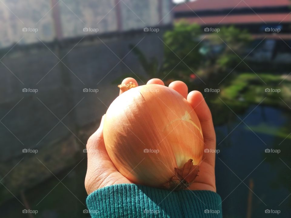 Onion ❤️