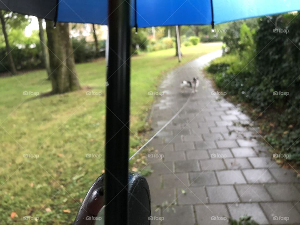 Rainy autumn day