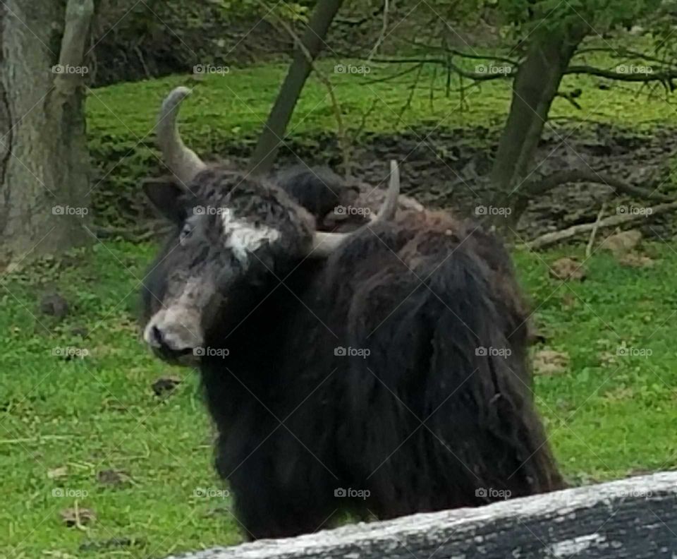 Driving the Back Roads and enjoying everything around us