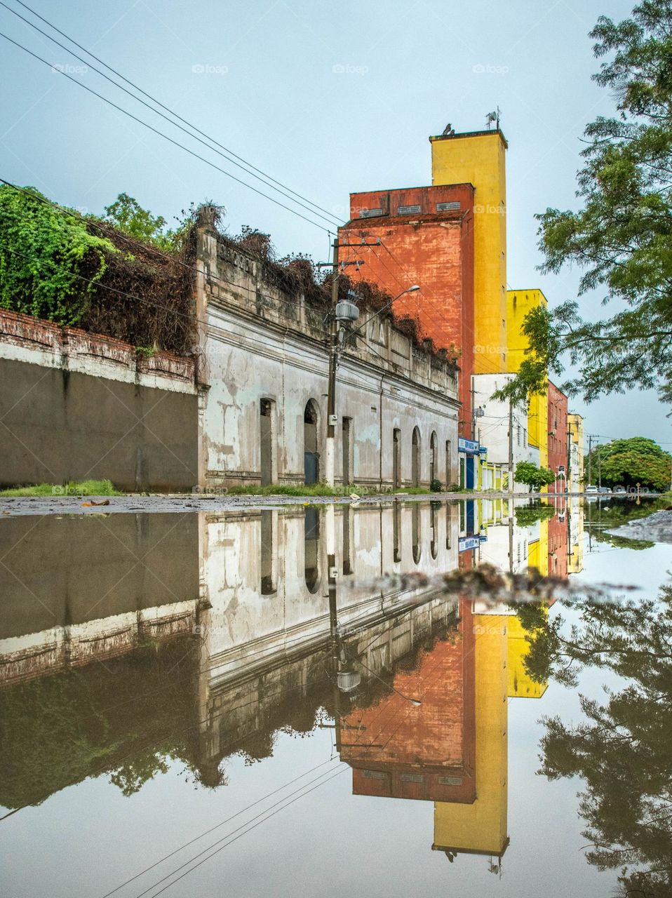 Espelho d'água formado pelas chuvas, local - Corumbá MS. @guilhermepantanal