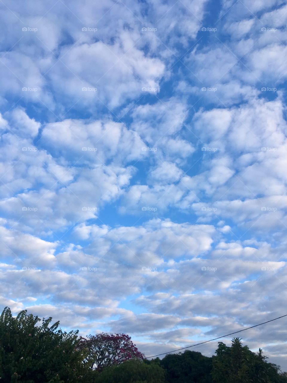 Céu repleto de nuvens e carregado de branco anil. Somente a fotografia permite captar esses momentos bonitos da natureza e colocá-los no papel. 