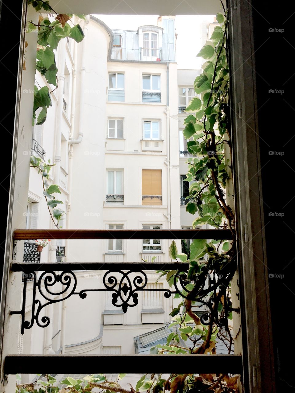 Paris Window