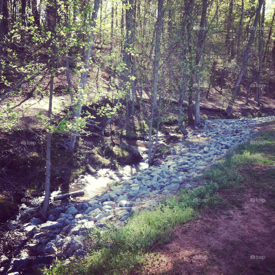 A creek in South Carolina. Beautiful view while running