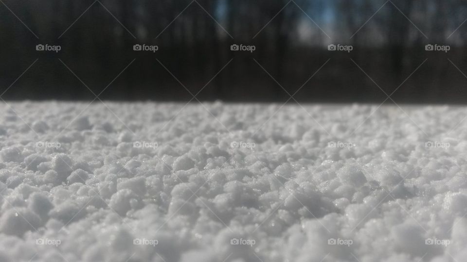 tiny snowballs