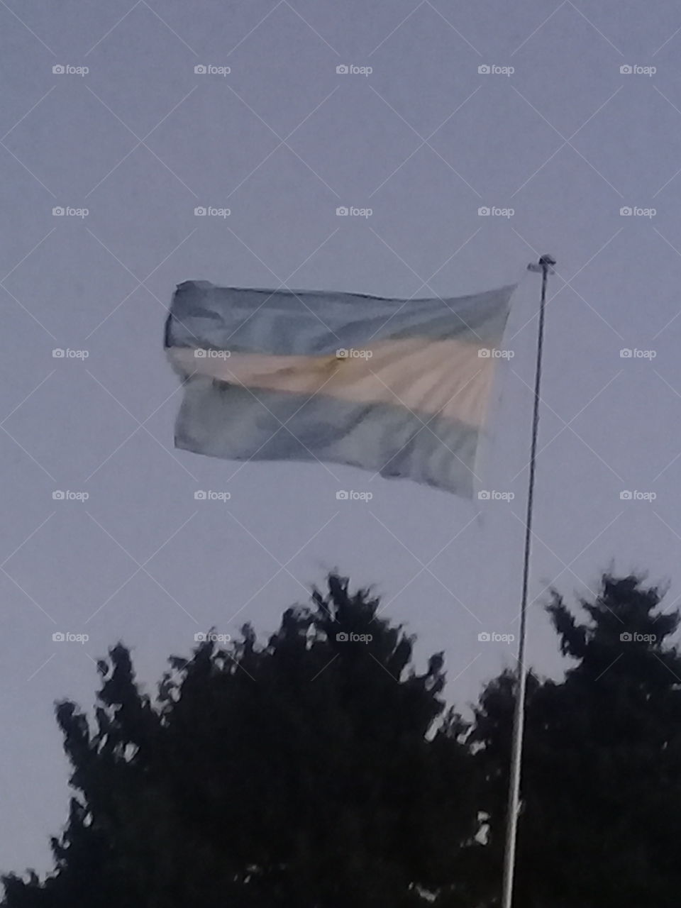 fotografía de la Bandera Nacional Argentina ondeando en una tarde fría y muy ventosa de invierno.