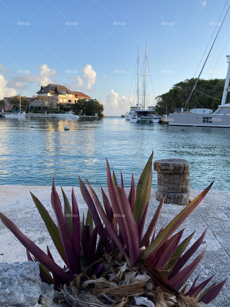 Beautiful bay view from the pier! 