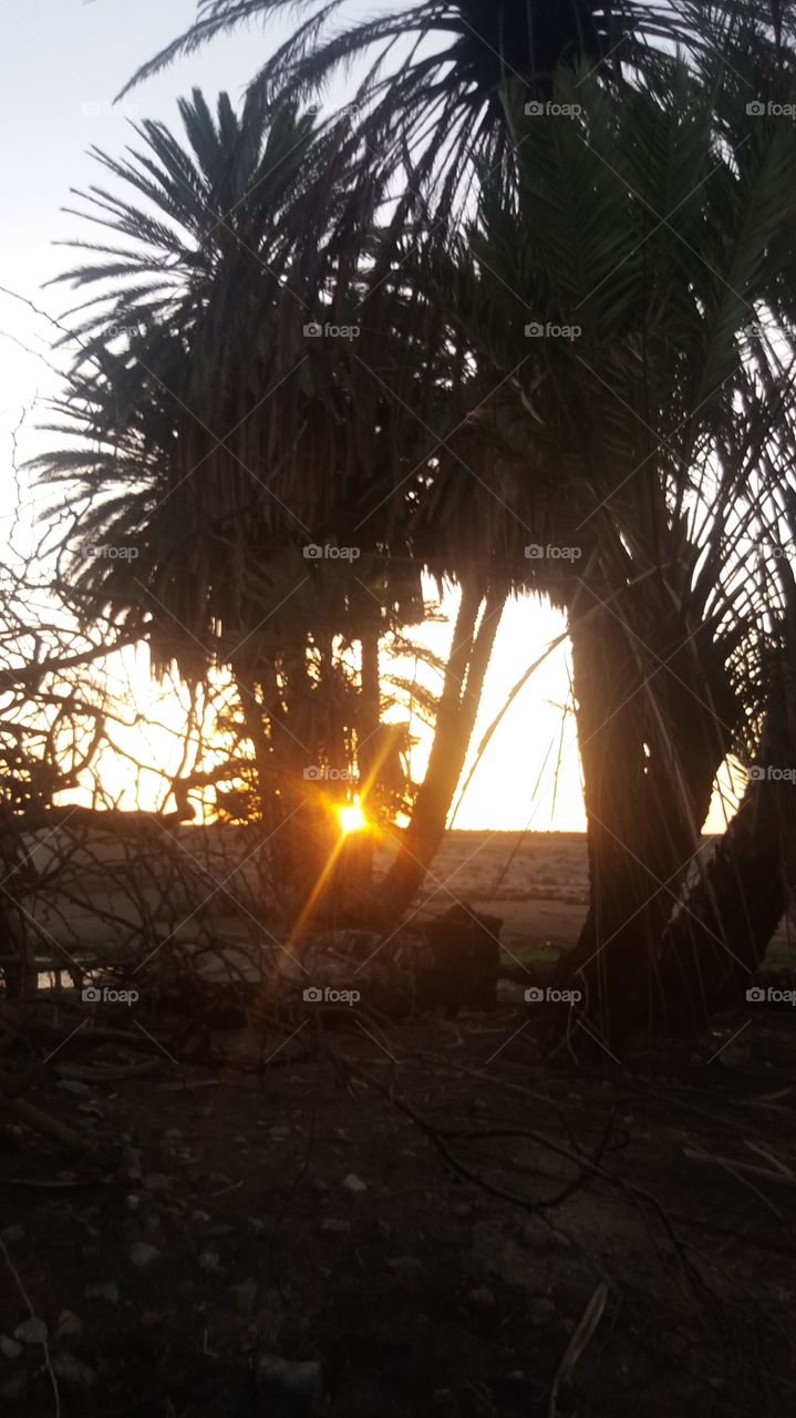 beautiful sunset in Sahara in Morocco