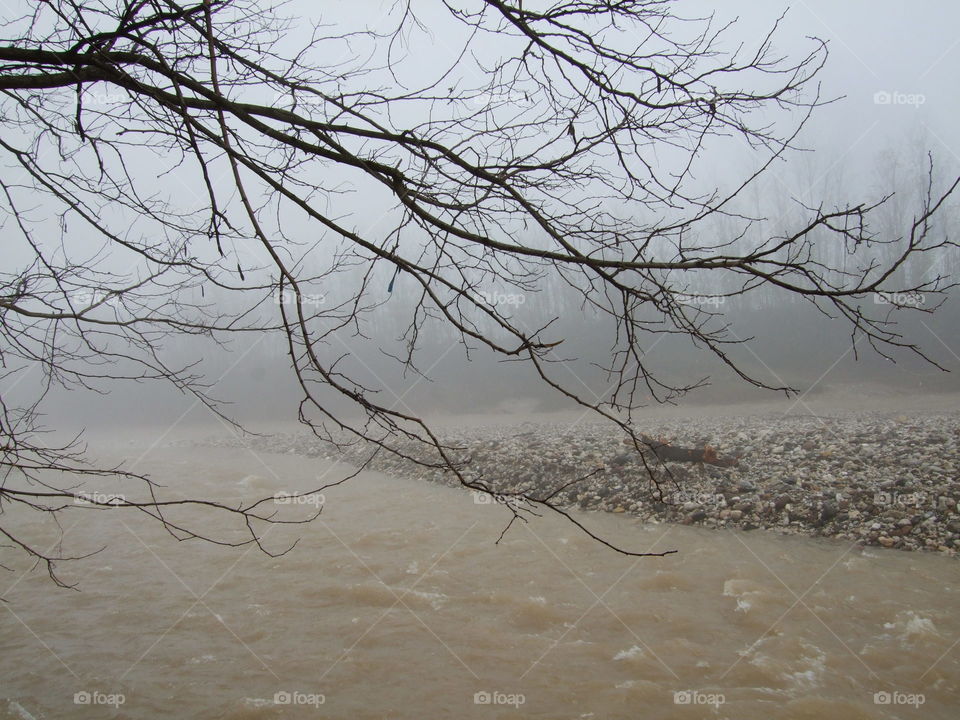 the creek after the flood