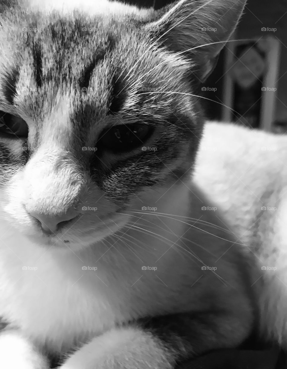 Cat Neve looking tired