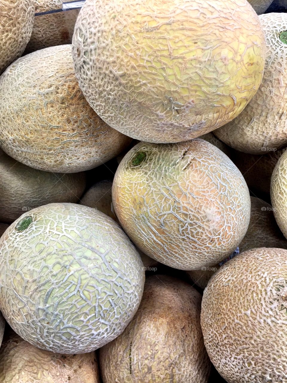 Close-up of cantaloupes