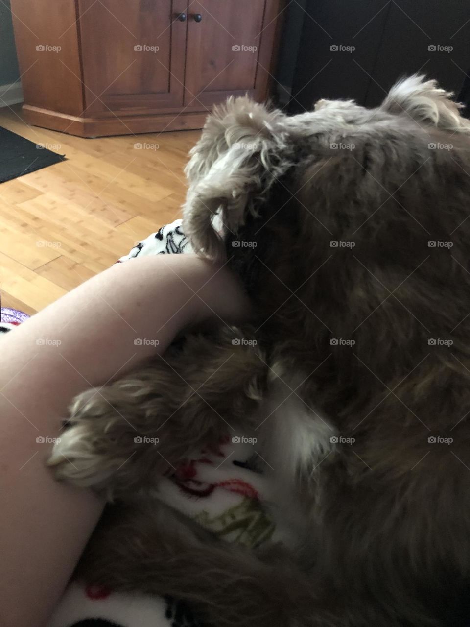 Chair cuddle- my hand is falling asleep 