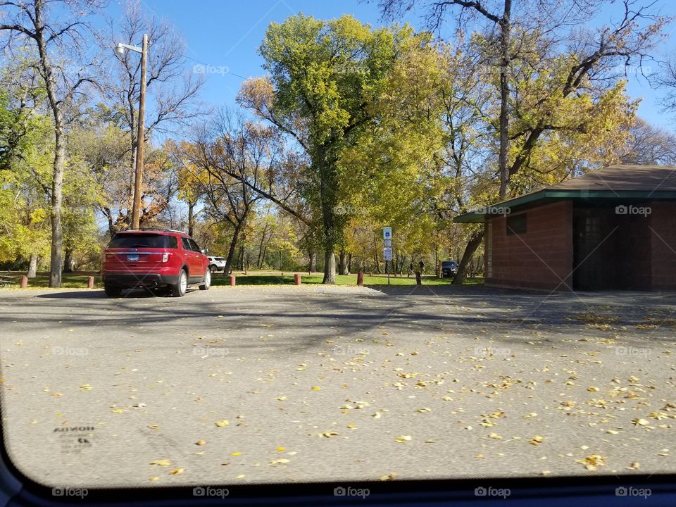 Road, Tree, Wood, No Person, Landscape
