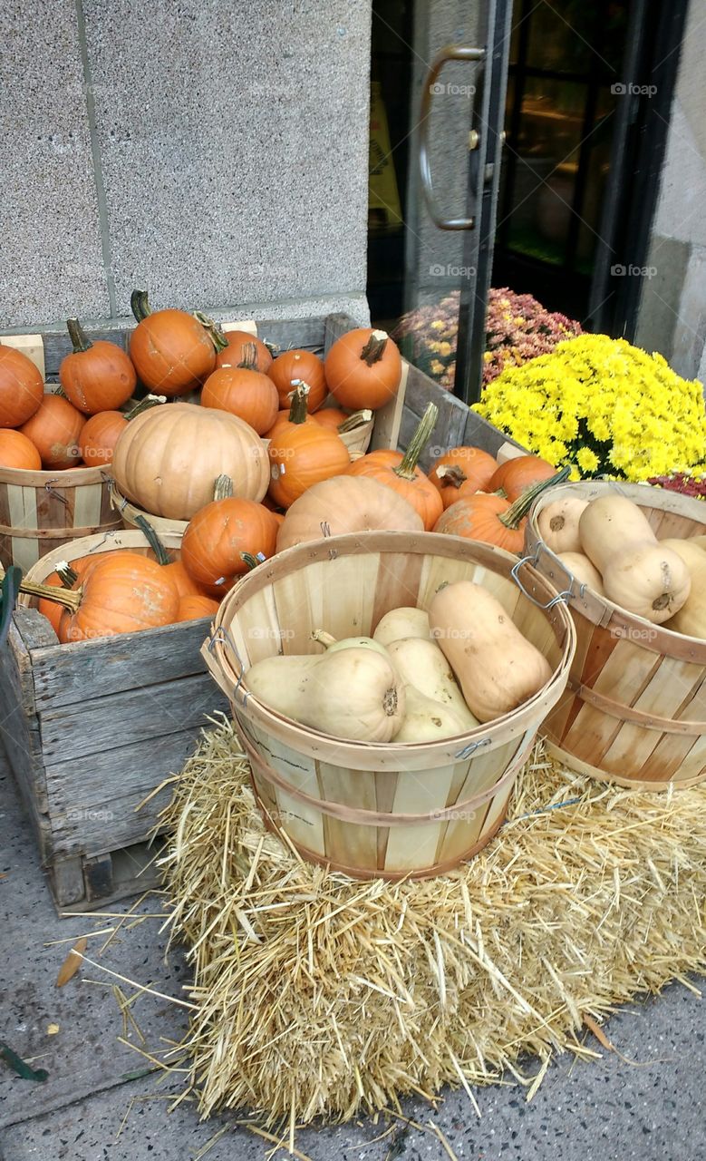 Fall Pumpkins.and Butternut Squash