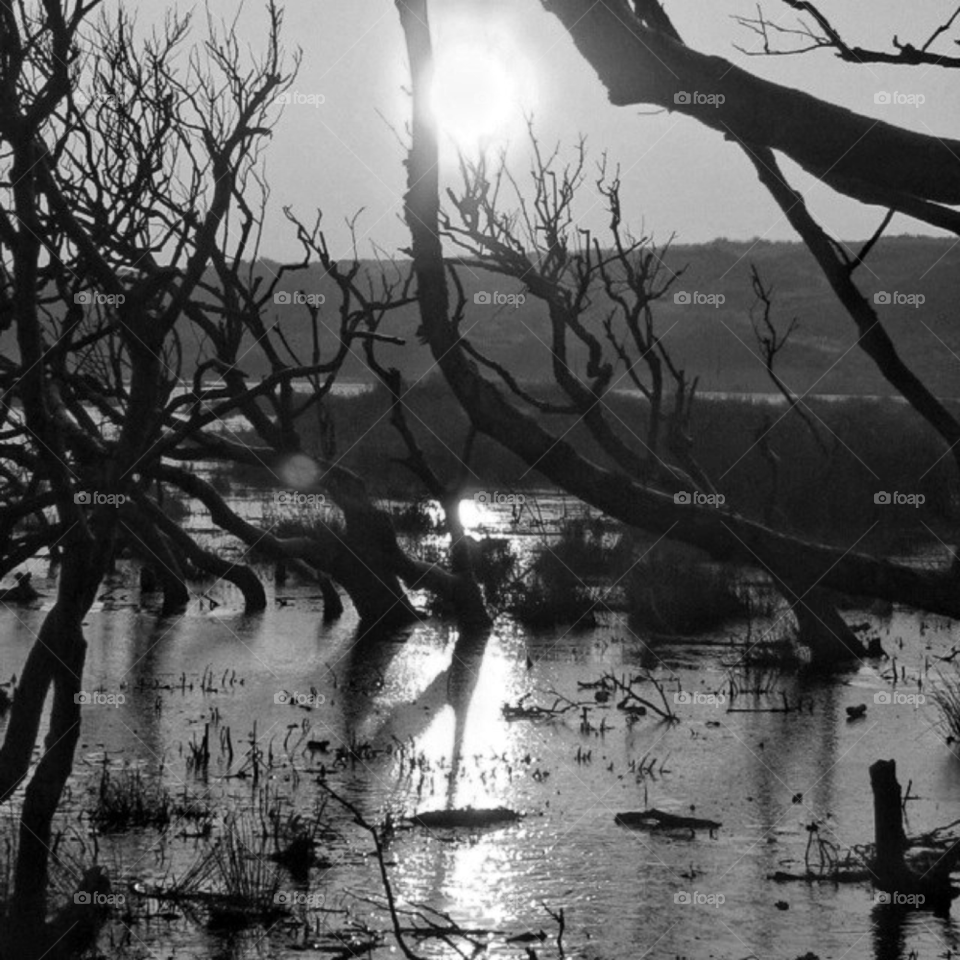 winter landscape field nature by carolien007