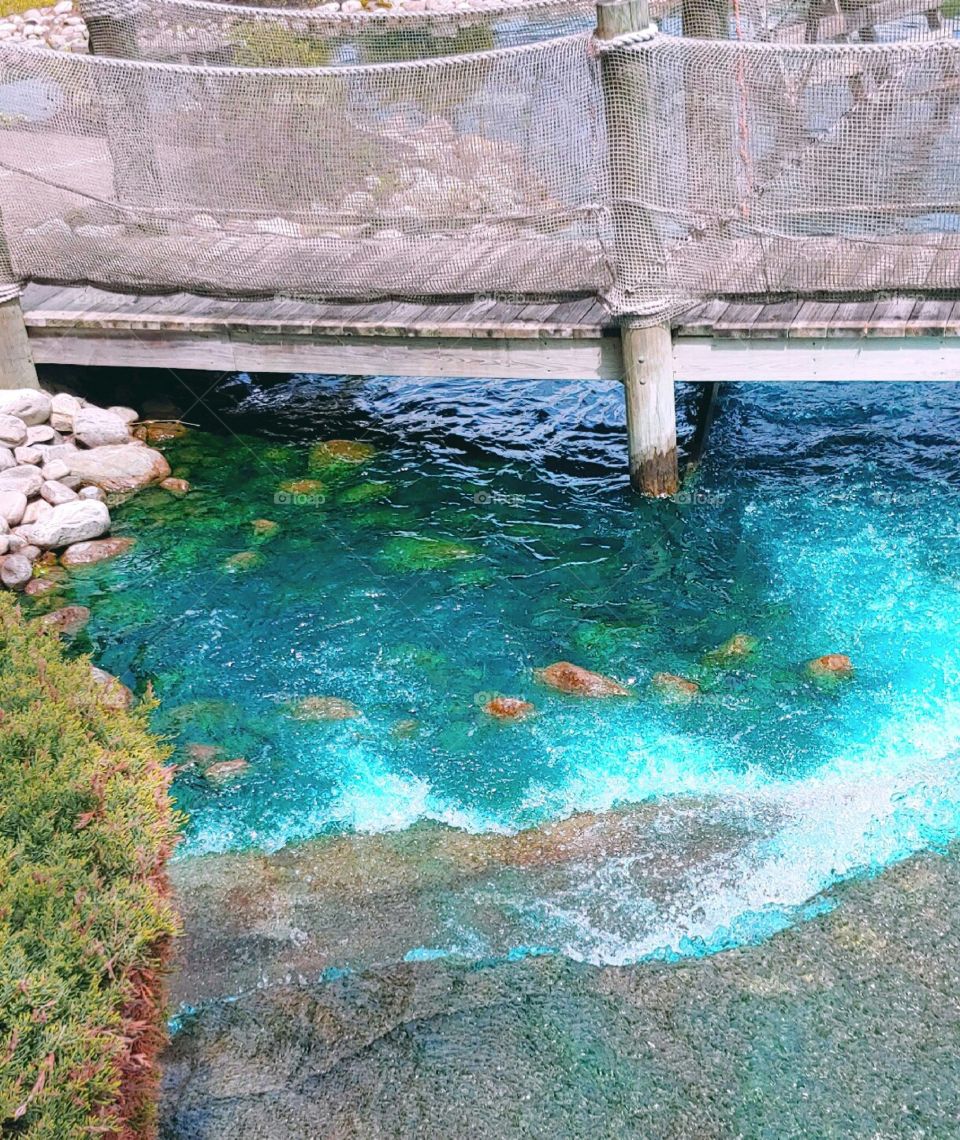 A Scenic Walkway Bridge!