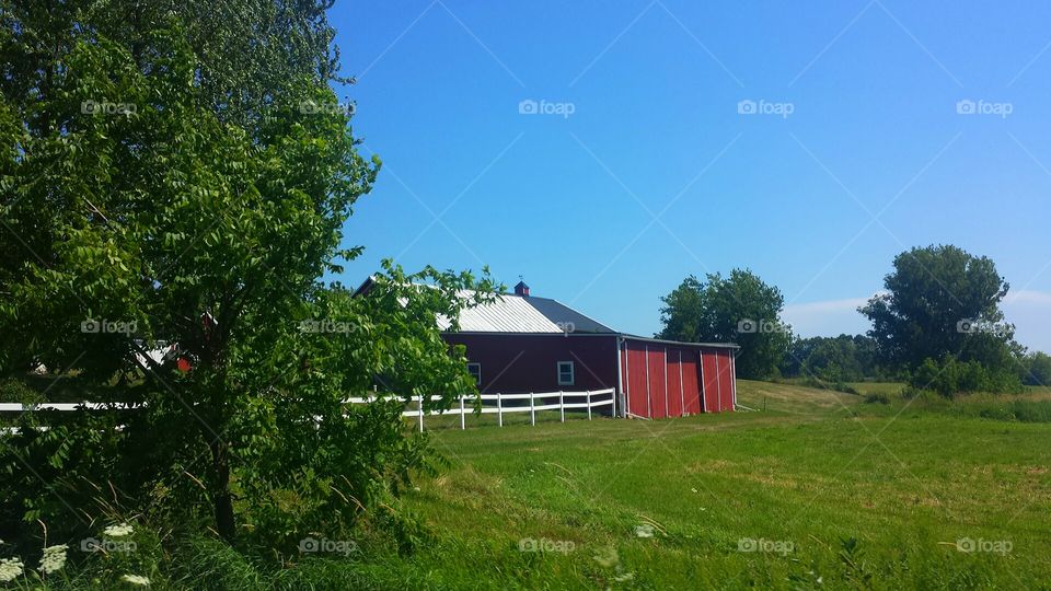 Farm. Blue Sky and Red Barn