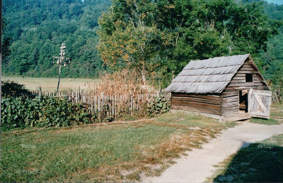 Barn pasture trees