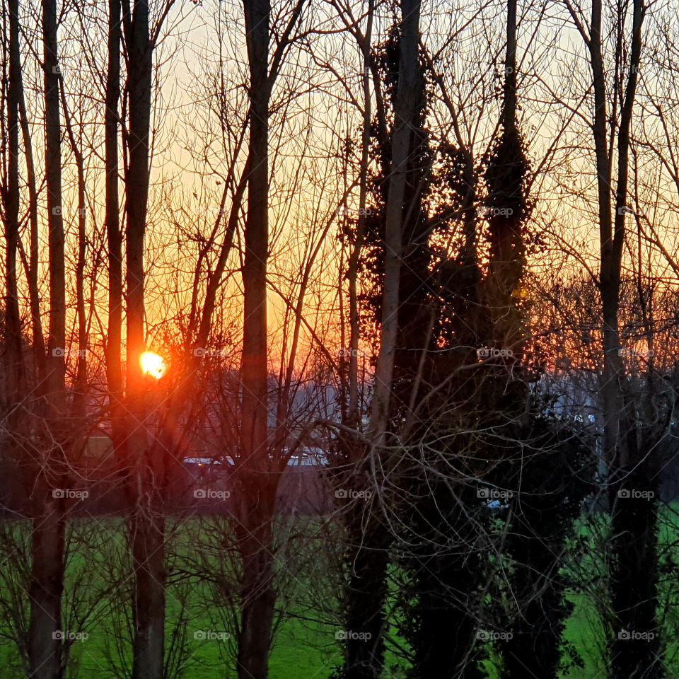 Sunset Saturday evening