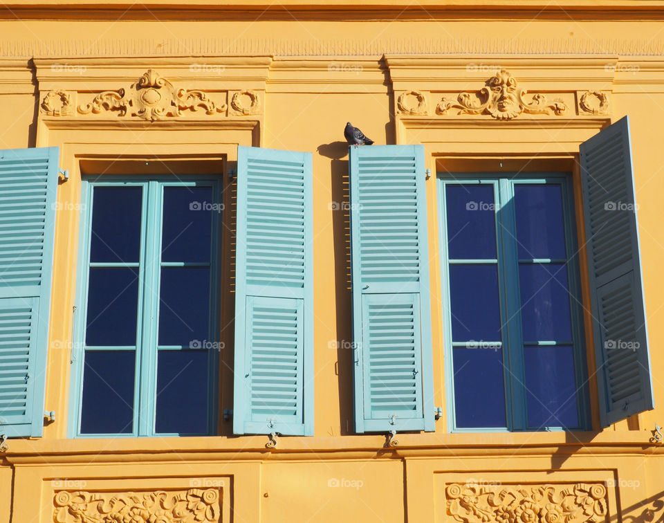 Closeup of two French windows on yellow building with green shutters and pigeon in the old town of Nice, France.