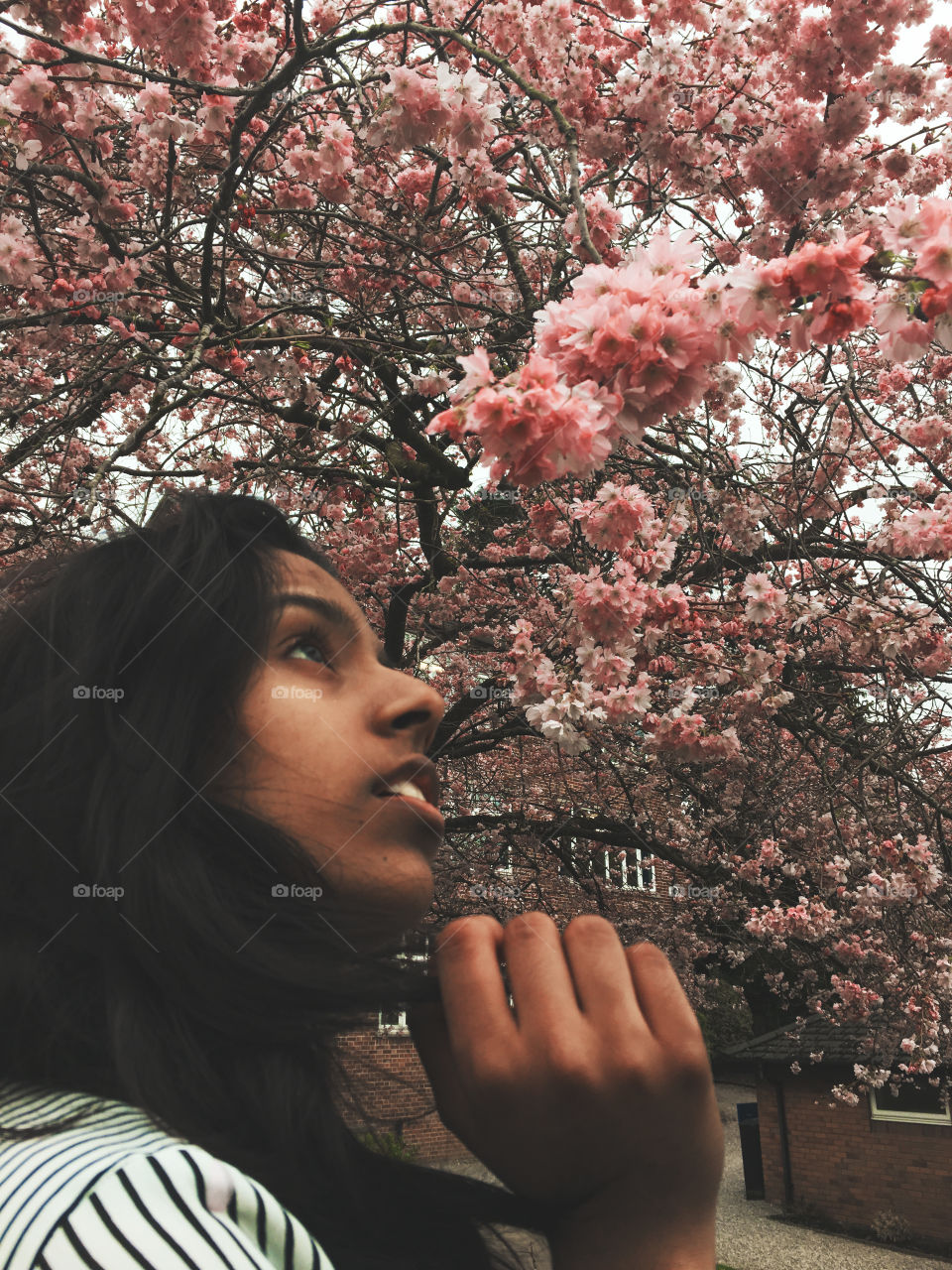 Model staring up at cherry blossoms. 