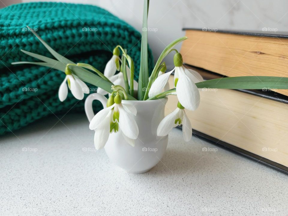 a bouquet of snowdrops, books and a green sweater.