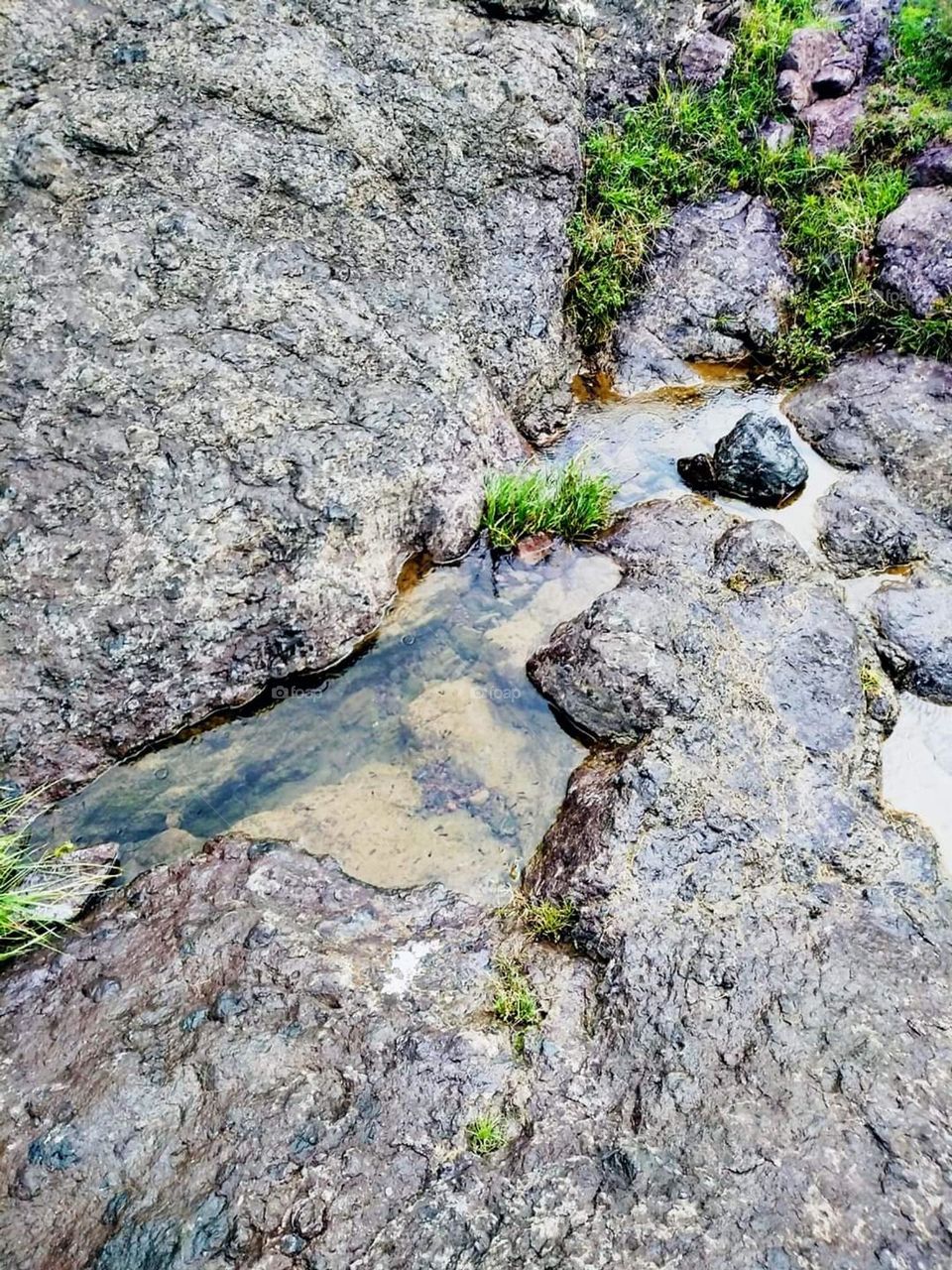 Glory be to God, the magnificent and picturesque view and the natural green trees are a view that is nothing more wonderful than it