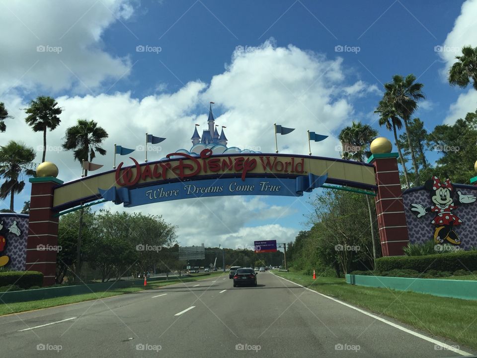 There's no place like Disney World