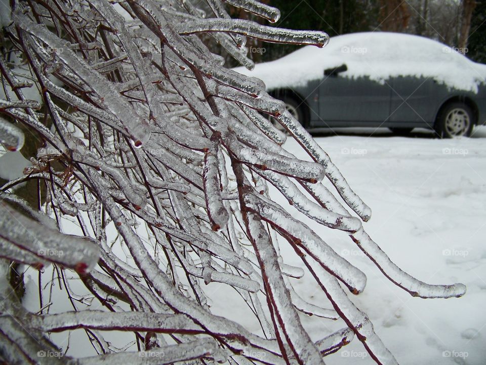 ice storm. ice storm