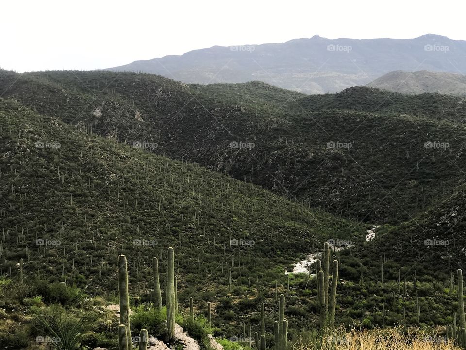 Nature Landmarks - Mountain River 