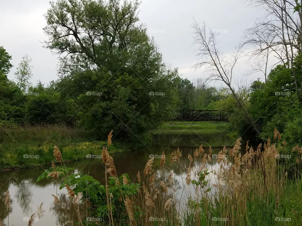 Stream