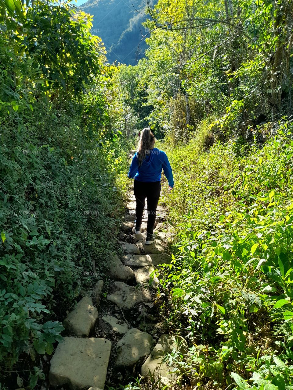 En este tiempo  es cuando más debemos fortalecer ese sentimiento de agradecimiento, por  vivir en un país donde la paz se ve reflejada en cada celaje, en cada hoja que cae con el soplar del viento, en cada gota de agua que cae.