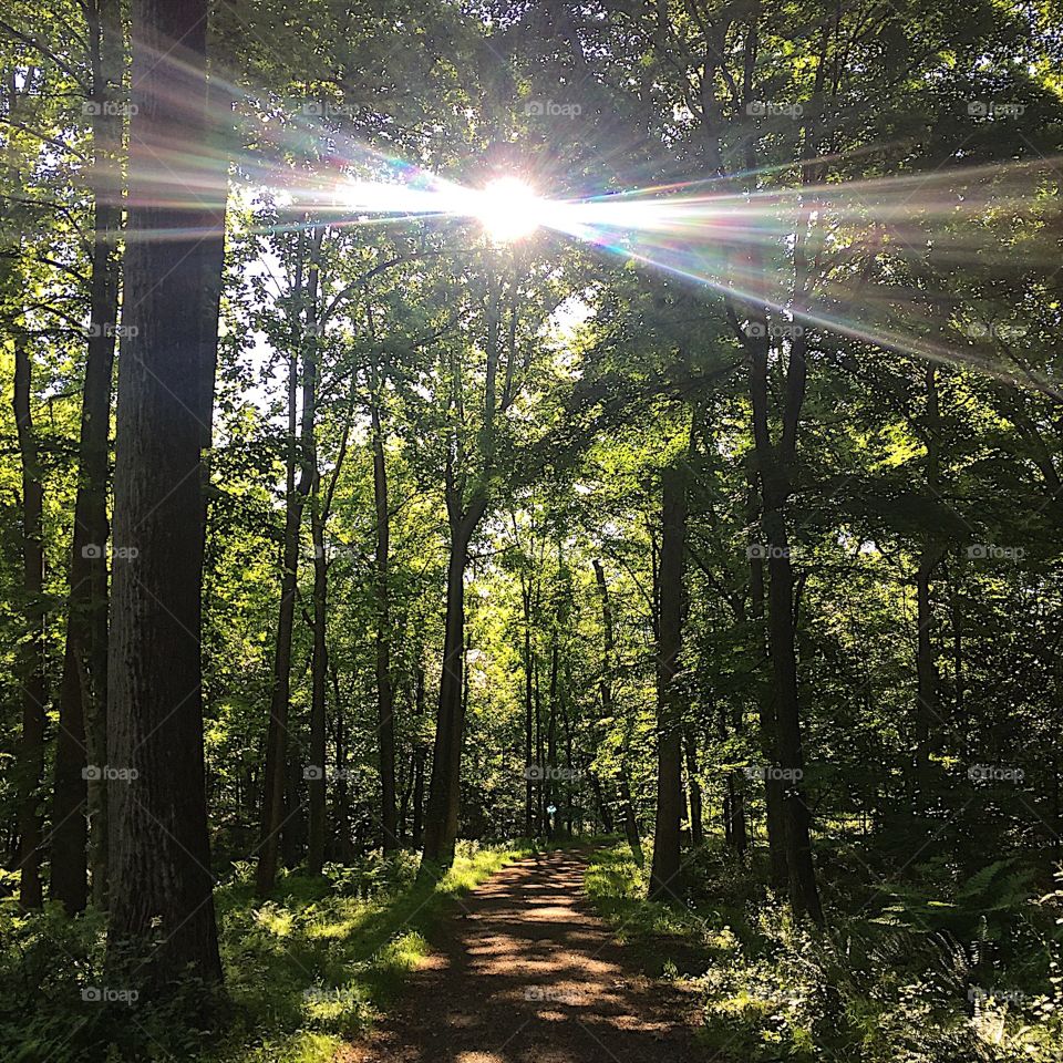 When you turn the corner in your run and come face to face with the sun 