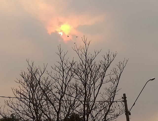 Sun 
