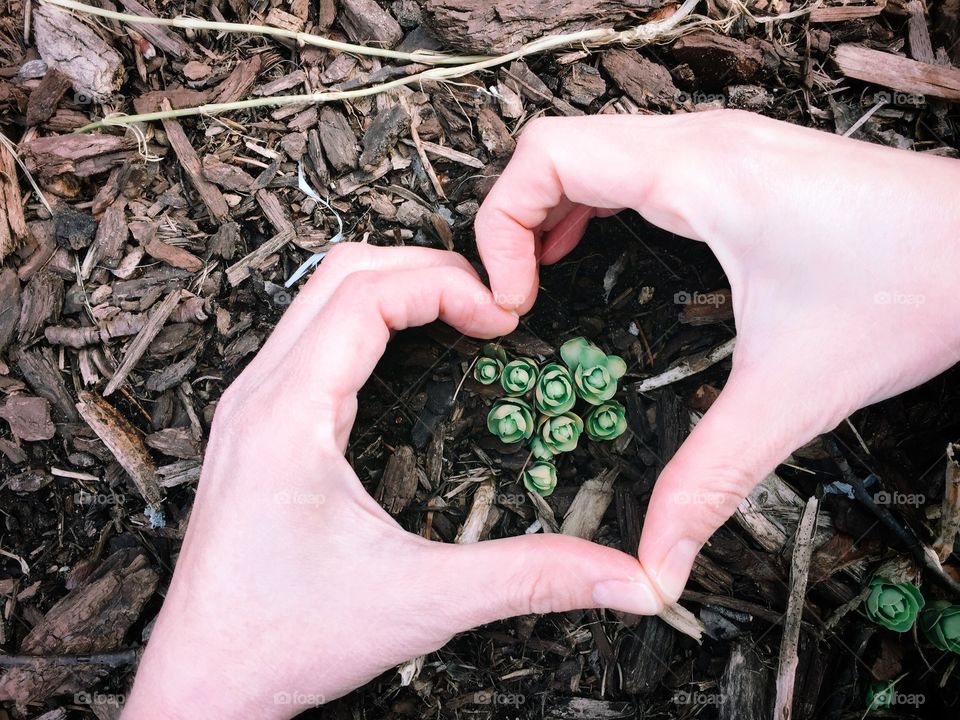 Heart shape made by person