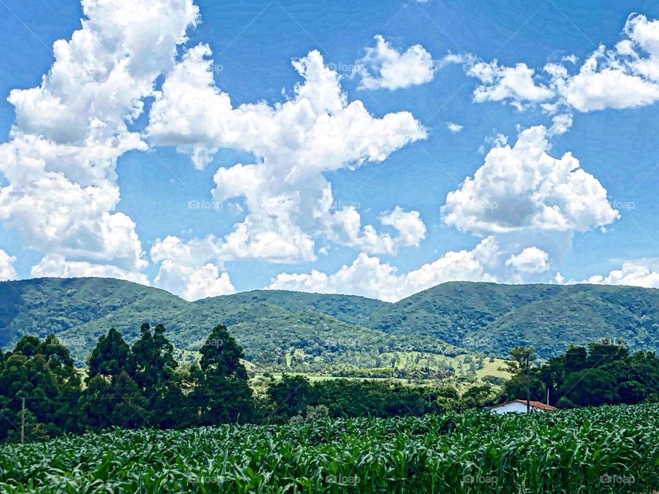 Ah, a nossa Serra do Japi, pulmão de Jundiaí!

Como é bom passear por aqui… viva a natureza do Brasil!